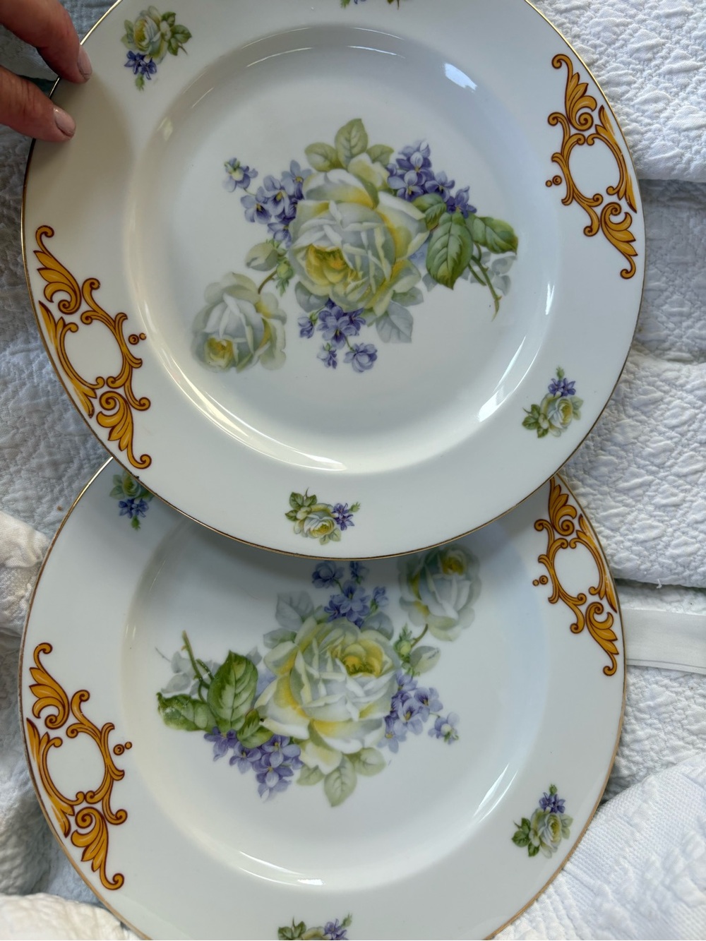 RARE 🌸 Two Antique Epiag English Rose Gold Scroll 129 Dinner Plates